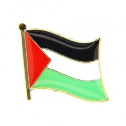 Pin bandera Palestina